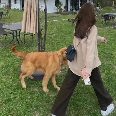 宝贝老板:重围商界第二季